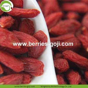 Hàng bán Hàng loạt Các loại trái cây có chứa thuốc trừ sâu ít Goji Berries