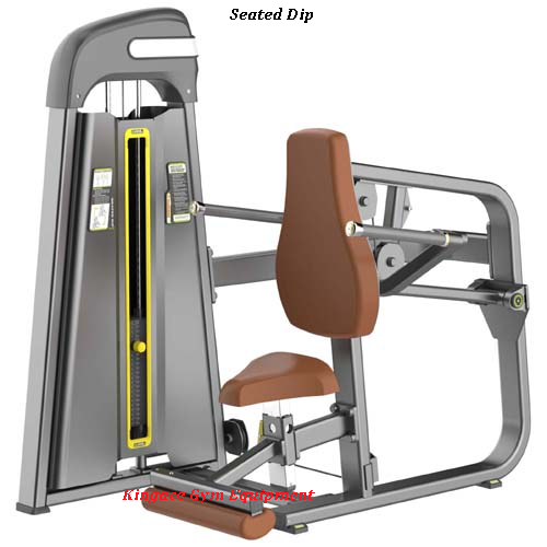 Fitness Equipment/Commercial Gym Equipment/ Triceps Press Machine