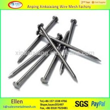 China supplier two head nails/Shining Bright double headed concrete nail