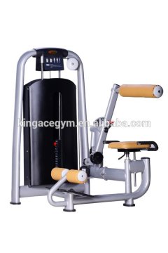 Gym Room Used Professional Commercial Back / Abdominal