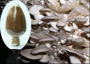 Pleurotus Ostreatus Extract, Pleurotus Ostreatus Polysaccharide