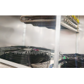 Industrial Drying House and Dehydrator