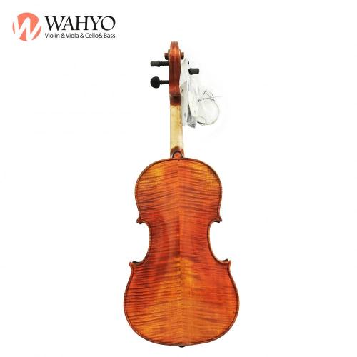 Mästare avancerat professionellt stränginstrument viola