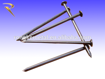 common nails/iron nails factory