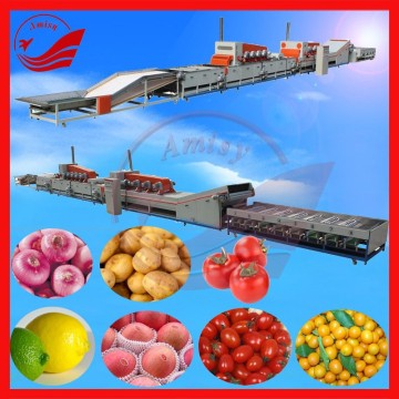 Fruit Processing Equipments Fruit Sorter Machine