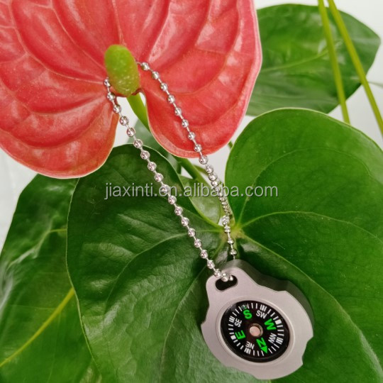 the newest mini compass titanium metal compass necklace for sale