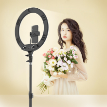 14 Inch Ring Light with 3 Phone Holders