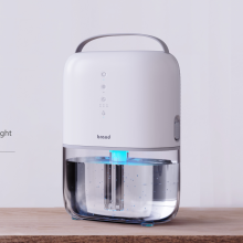 Trending Portable Dehumidifiers for Home