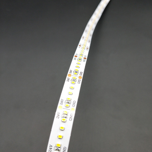 Yüksek CRI 2216SMD 240led mono led şerit