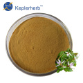 Lobelia Extract Powder extract