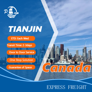 Best Express Service Air Forwarder To Canada