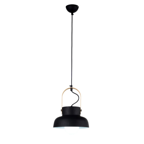 LEDER Interesting Metal Pendant Lights