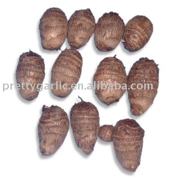 Chinese Fresh Taro