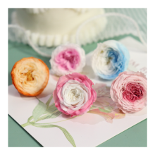 Wholesale Preserved Rose Heads for Wedding Decoration in Austin