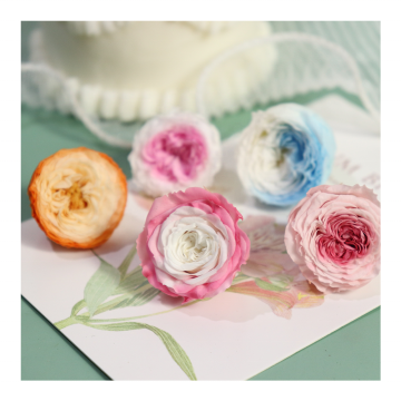 Wholesale Preserved Rose Heads for Wedding Decoration in Austin