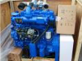 60kw Weichai Ricardo R4105 Dieselmotor