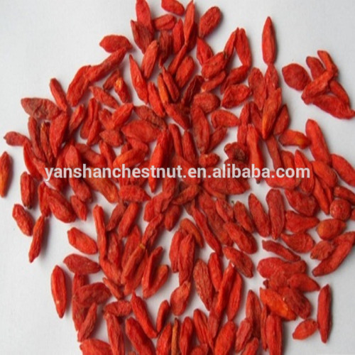 Certified Organic Goji Berries From Ningxia Zhengyuan 160 PCS/50g