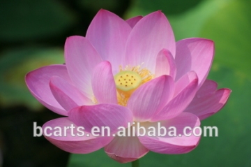 Swell lotus painting wall decor Chinese style oil painting lotus flower oil