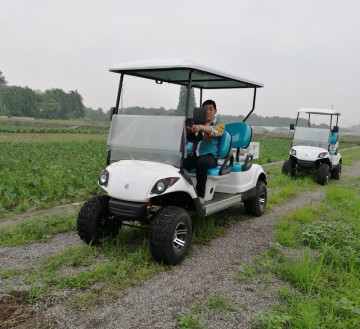 2021Gas golf carts for sale with yamaha type