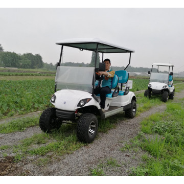 2021Gas golf cart dijual dengan tipe yamaha