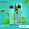 Hot Sell Gunnpod Vape descartável 2000puffs