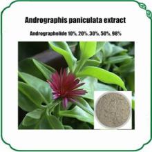 Andrographis Paniculata Extract