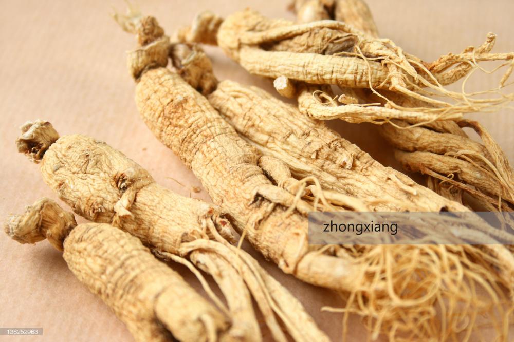 Óleo de ginseng orgânico natural e 100% puro