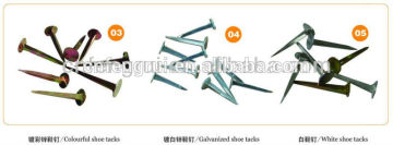 Galvanized shoe tacks