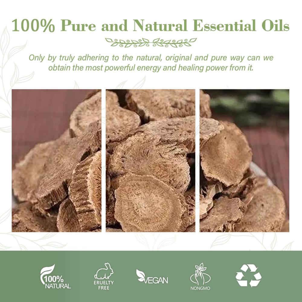 Vente chaude 100% pure Costus Root Huile en gros au meilleur prix