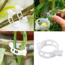 High Quality Tomato Grafting Clips for Greenhouse Tomato Planting