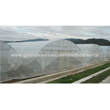 Film Greenhouse for Agriculture