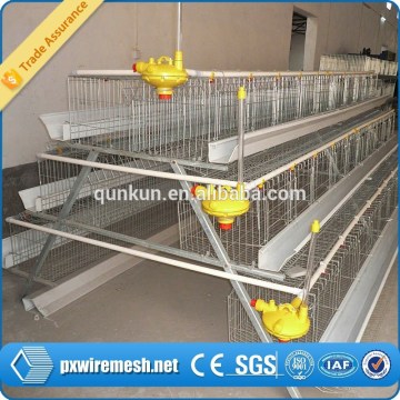 chicken layer cage /poultry layer cage/chicken cage( Anping Factory)