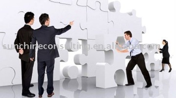 consultant service,consulting