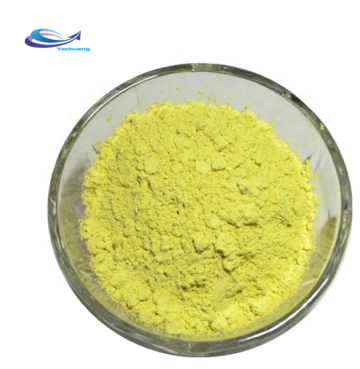 Herbal extract quercetin plant extract quercetin