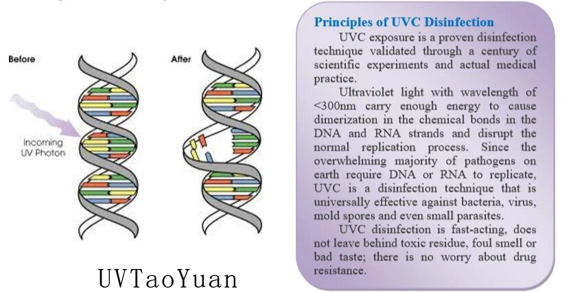 UVC UVB LED Sterilization Medical Treatment 310nm Torch UV-C Lamp