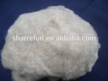 Chinese Sheep Wool