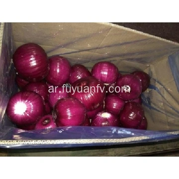الصين Onion المصنعين والموردين والمصنع