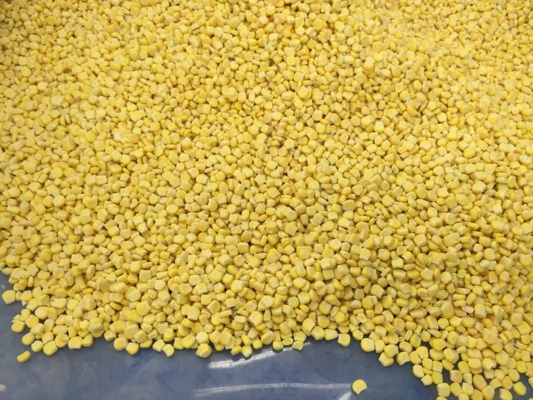 IQF Frozen Vegetables Sweet Corn