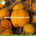 Supply Bulk Nutrition Natural Pumpkin Kernels