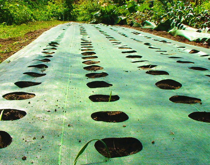 Ground Cover Weed Mat For Greenhouse