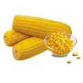 podwójna próżnia słodkiej kukurydzy