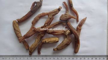 dried red Ginseng root/Hong Shen