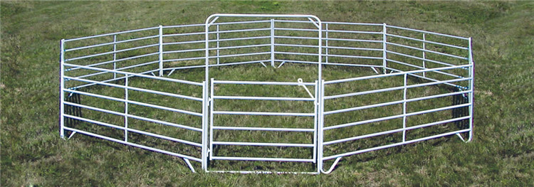 Hot  Dipped Galvanized Horse Round Pens