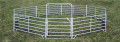 Galvaniserad Pipe Horse Fence Panel Fence Horse