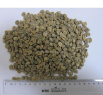 Brazil Coffee Beans free sample