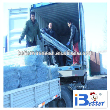 BETTER FACTORY direct supply broiler chicken cage,folding chicken cage for kenya farm