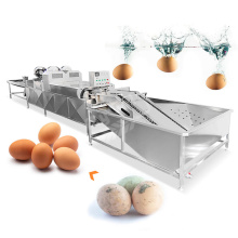 Industrial Automatic Egg Wash Machine - Egg Brush Cleaner & Duck Egg Washer