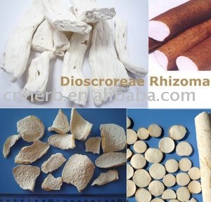 Dioscoreae Rhizoma/Common Yam/Yam