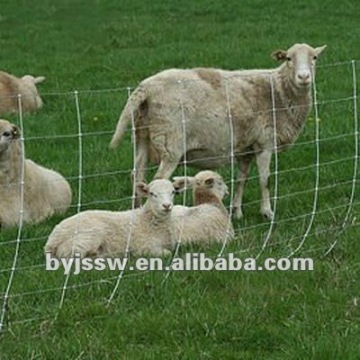 Grassland Fence Net Factory