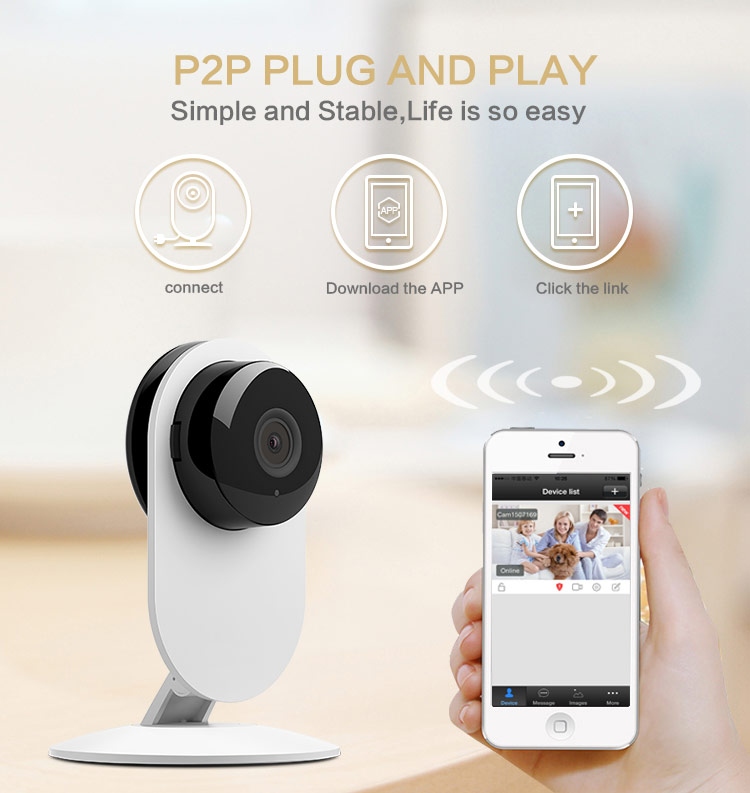 p2p IP Camera